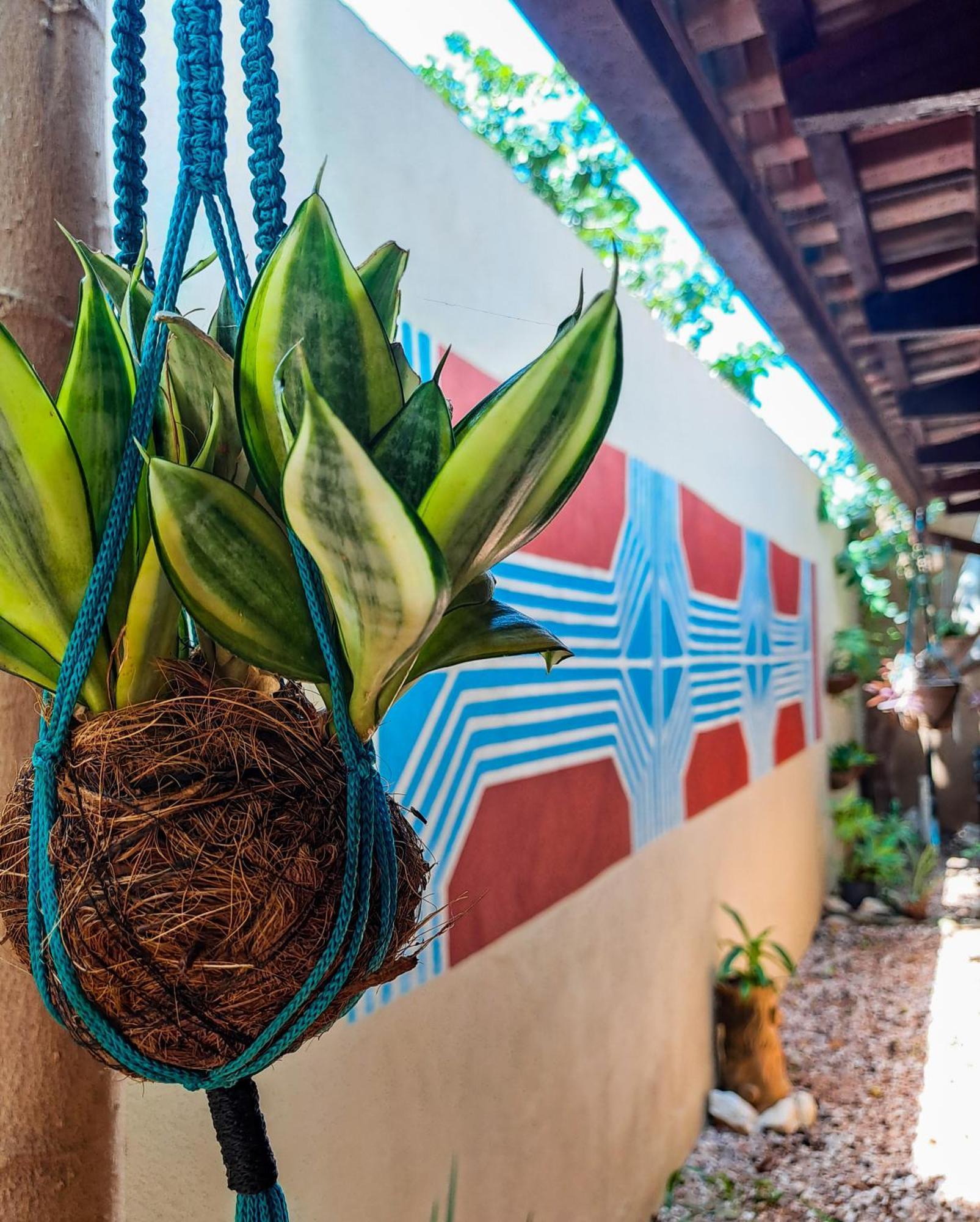 Savana Hostel เซาจอร์จิ ภายนอก รูปภาพ
